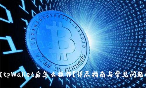 下载tpWallet后怎么操作？详尽指南与常见问题解答