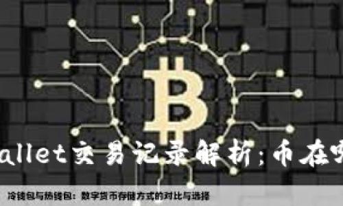 tpWallet交易记录解析：币在哪里？