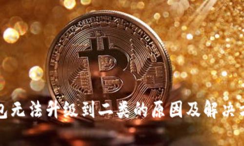 数字钱包无法升级到二类的原因及解决方案分析