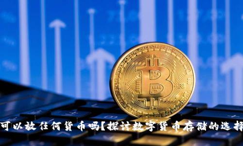 冷钱包可以放任何货币吗？探讨数字货币存储的选择与限制