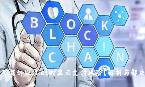 为何下载tpWallet时显示支付风险？解析与解决方案