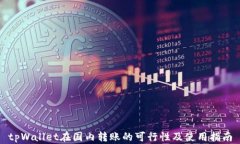 tpWallet在国内转账的可行性及使用指南