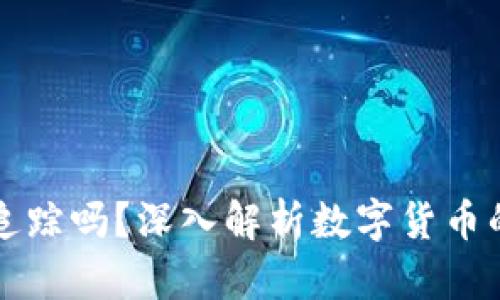 虚拟币能追踪吗？深入解析数字货币的可追踪性
