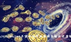 rialtitpWallet不实时的可能原因及解决方案分析