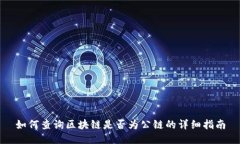 如何查询区块链是否为公链的详细指南