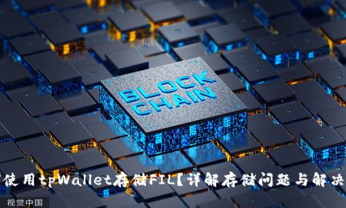 如何使用tpWallet存储FIL？详解存储问题与解决方案