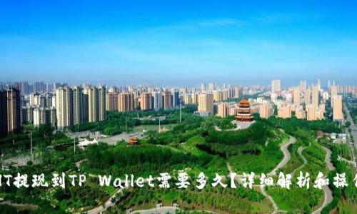 火币HT提现到TP Wallet需要多久？详细解析和操作指南