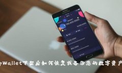 tpWallet下架后如何恢复或备份您的数字资产？