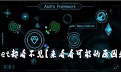 提币到tpWallet却看不见？来看看可能的原因和解决