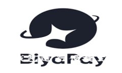 如何使用GoPay钱包进行便捷支付？你了解了吗？