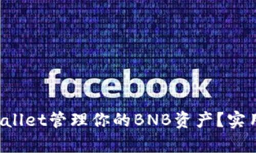 如何使用tpWallet管理你的BNB资产？实用指南大揭秘！