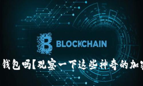 你知道什么是冷钱包吗？观察一下这些神奇的加密货币保管方法！