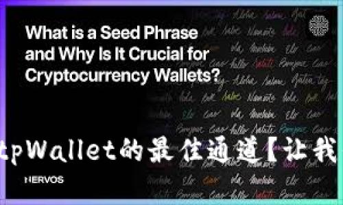如何选择tpWallet的最佳通道？让我们来聊聊！