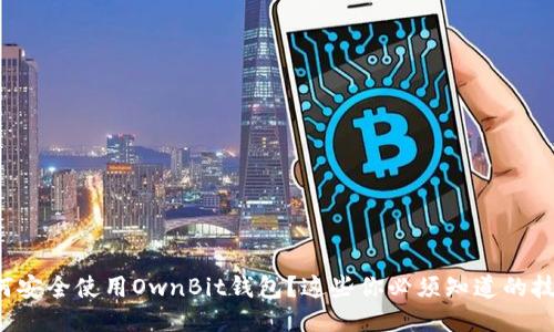 如何安全使用OwnBit钱包？这些你必须知道的技巧！