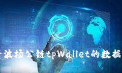 想知道怎么查看波场公链tpWallet的数据吗？快来看
