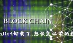 bisaiottpWallet卸载了，想恢复以前的数据？看这里