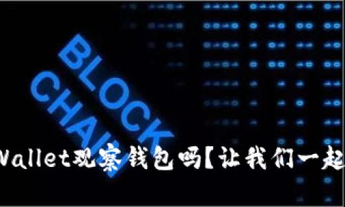 你知道tpWallet观察钱包吗？让我们一起深入了解！
