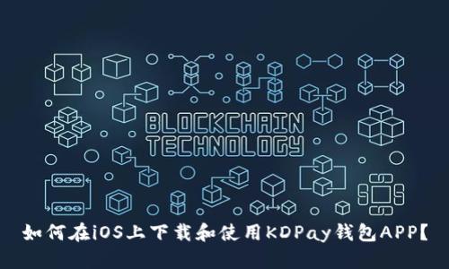 如何在iOS上下载和使用KDPay钱包APP？