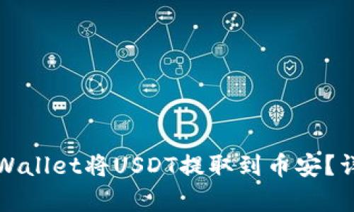 如何通过tpWallet将USDT提取到币安？详细步骤解析