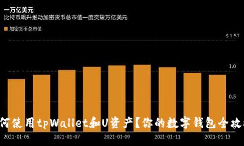 如何使用tpWallet和U资产？你的数字钱包全攻略！