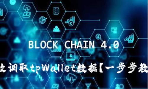 如何高效调取tpWallet数据？一步步教你实现！