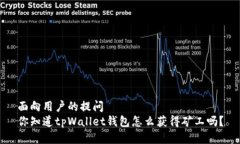 面向用户的提问  你知道tpWallet钱包怎么获得矿工
