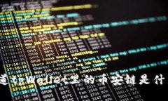 你知道tpWallet里的币安链是什么吗？