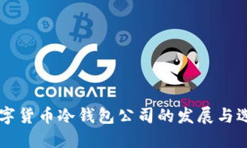 中国数字货币冷钱包公司的发展与选择指南