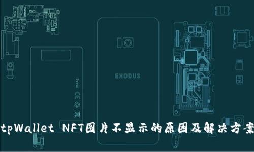 tpWallet NFT图片不显示的原因及解决方案