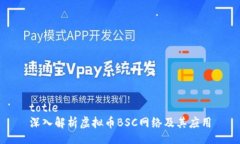 totle深入解析虚拟币BSC网络及其应用
