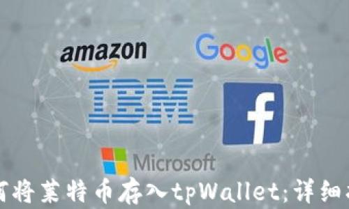 
如何将莱特币存入tpWallet：详细指南