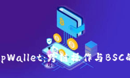 全面解读tpWallet：跨链操作与BSC的完美结合