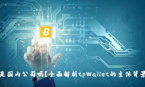 tpWallet是国内公司吗？全面解析tpWallet的主体背景及其影响