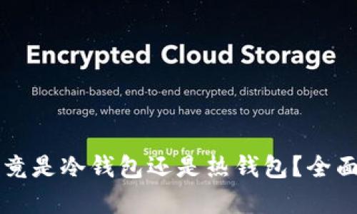 币汇钱包究竟是冷钱包还是热钱包？全面解析与比较