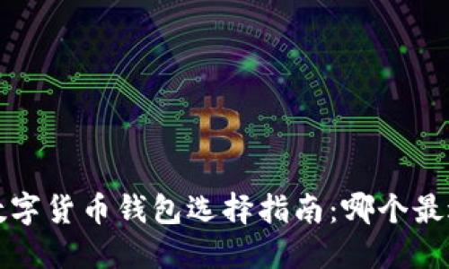 ###数字货币钱包选择指南：哪个最适合你？