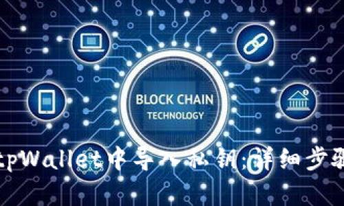 如何在tpWallet中导入私钥：详细步骤与指南