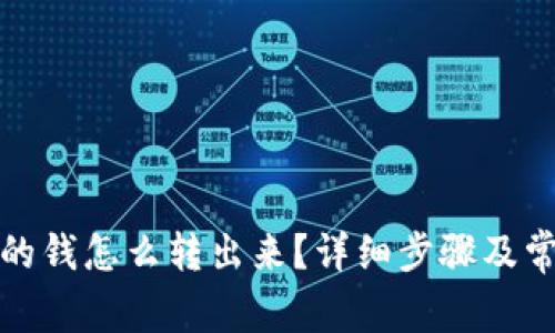 数字钱包里的钱怎么转出来？详细步骤及常见问题解析