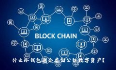 什么冷钱包适合存储公链数字资产？