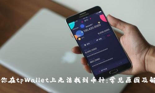 为什么你在tpWallet上无法找到币种：常见原因及解决方案